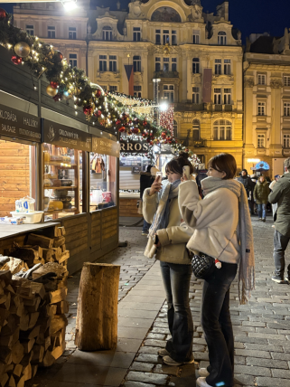 捷克观察：欧洲投资的洼地还是热土？|欧陆志  第2张