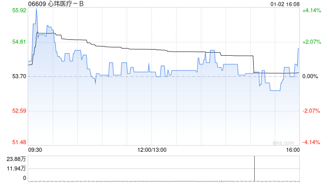 心玮医疗-B于1月2日斥资146.62万港元回购2.72万股  第1张