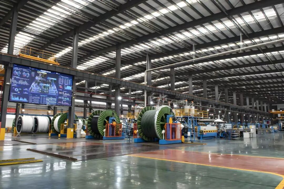 多维布局拓增长！球冠电缆总经理陈永直：剑指“再造一个球冠”  第2张