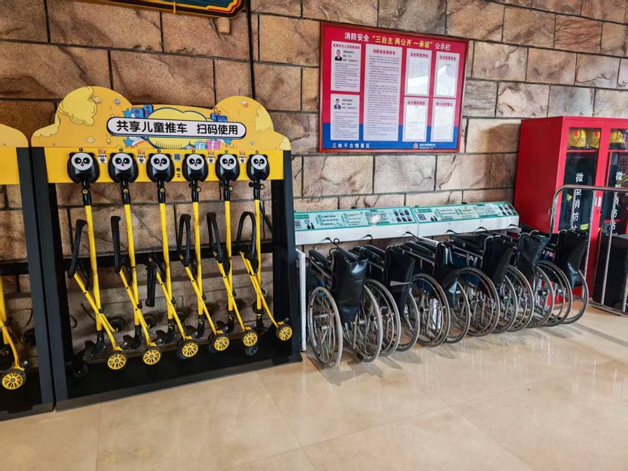 老年人的“诗与远方”：险企扎堆康养旅居，不赚团费赚什么？  第1张