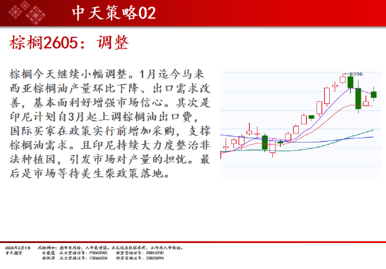 中天期货:焦煤开始走高 棕榈调整  第14张