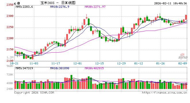 中信建投期货：2月11日农产品早报  第2张