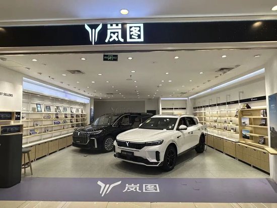 用时4个月闯完所有审批！岚图赴港上市进入最后冲刺  第2张