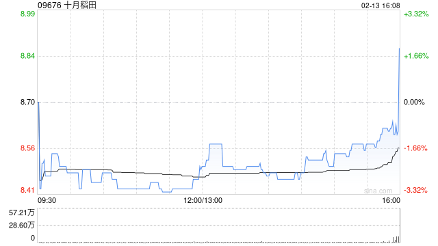 十月稻田于2月13日斥资789.85万港元回购90万股  第1张