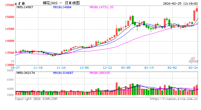 2026年值得关注的几个品种（一）  第2张