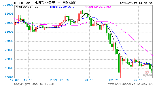 比特币一度跳涨至6.6万美元 市场紧盯特朗普国情咨文演讲  第1张