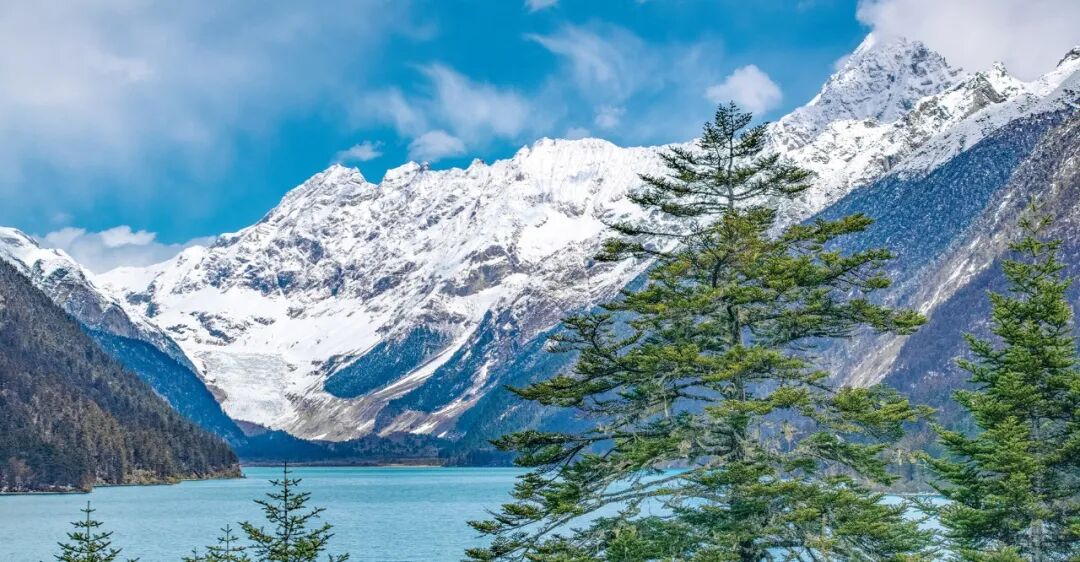 破解存量时代的内卷竞争,农夫山泉给出了正确答案 第4张 破解存量时代的内卷竞争,农夫山泉给出了正确答案 第4张