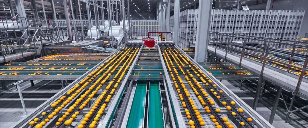 破解存量时代的内卷竞争,农夫山泉给出了正确答案 第5张 破解存量时代的内卷竞争,农夫山泉给出了正确答案 第5张