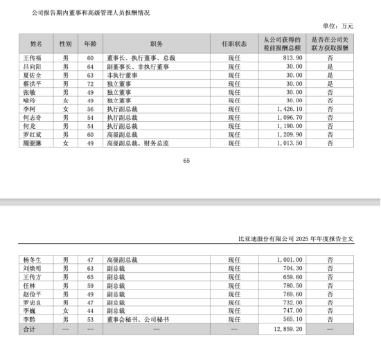 比亚迪周亚琳年薪1013万成A股首位千万CFO，1999年入职，近十年薪资涨近8倍 | 长三角资本局  第2张