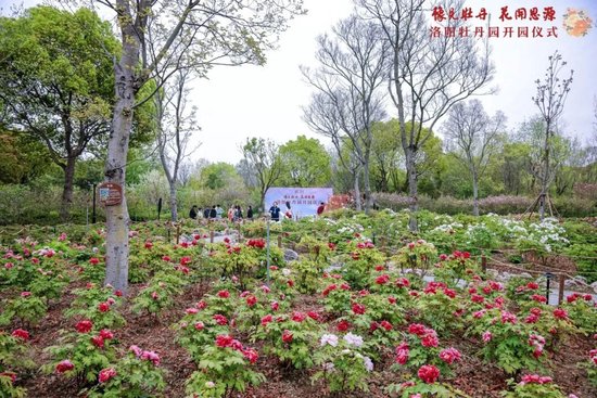 上海交通大学校友代表陈光明:校训精神已深入骨髓 第71张 上海交通大学校友代表陈光明:校训精神已深入骨髓 第71张