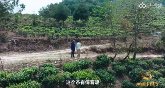 钟墅子给钟睒睒当助理，啥信号？  第6张